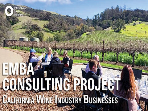 EMBA Consulting Project