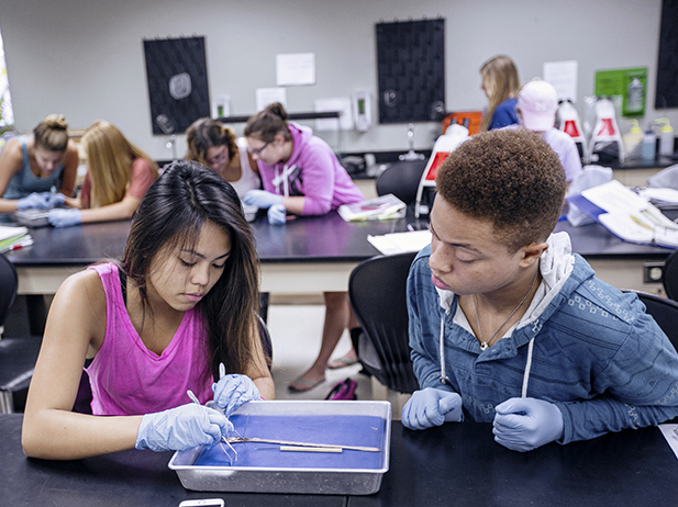 Students working in a science lab