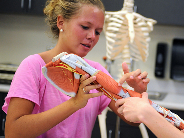 Student pointing at muscles