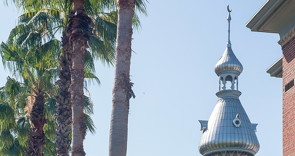 Minaret and palm trees