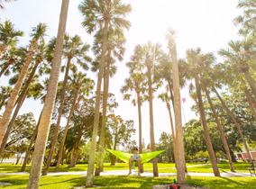 Student on a hammock in Plant Park