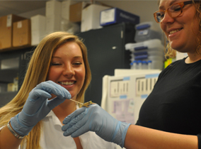 Students in a lab holding a frog