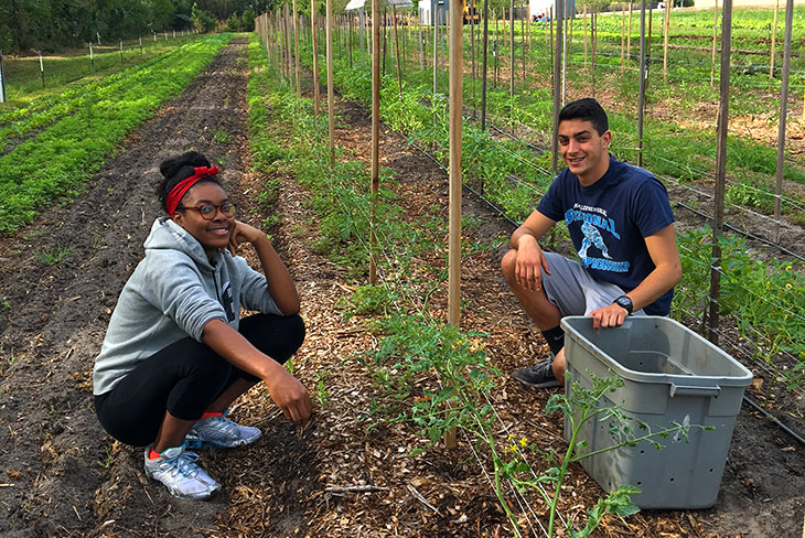 Bonner leaders volunteering