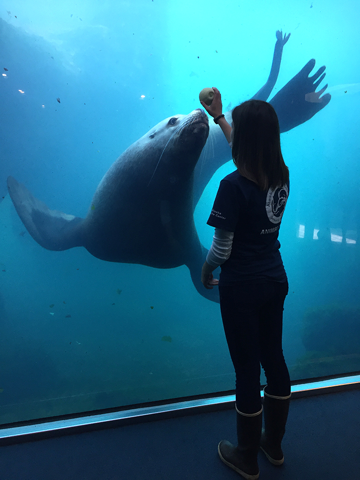 Marine biology volunteer at the Florida Aquarium