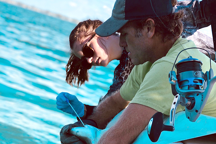 Two students swab the mouth of a shark while hanging over the side of a boat.