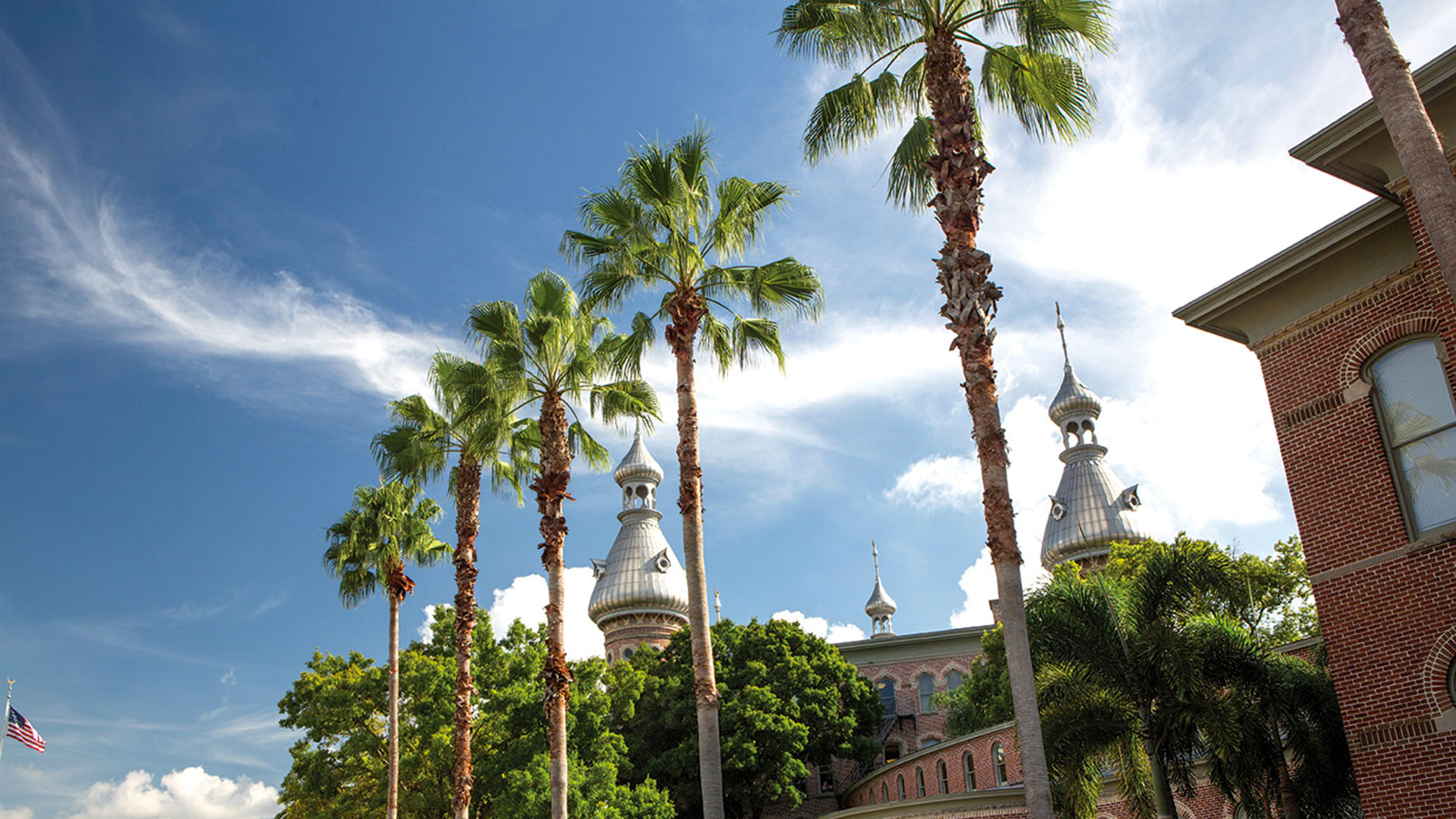 Plant Hall and palm trees