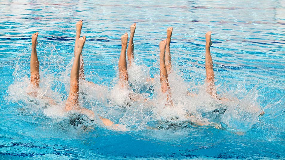 Synchronized swimmers' legs out of water