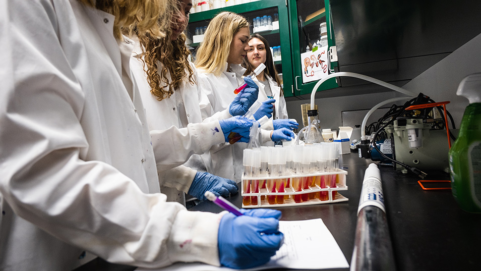 Students in a lab wearing lab coats