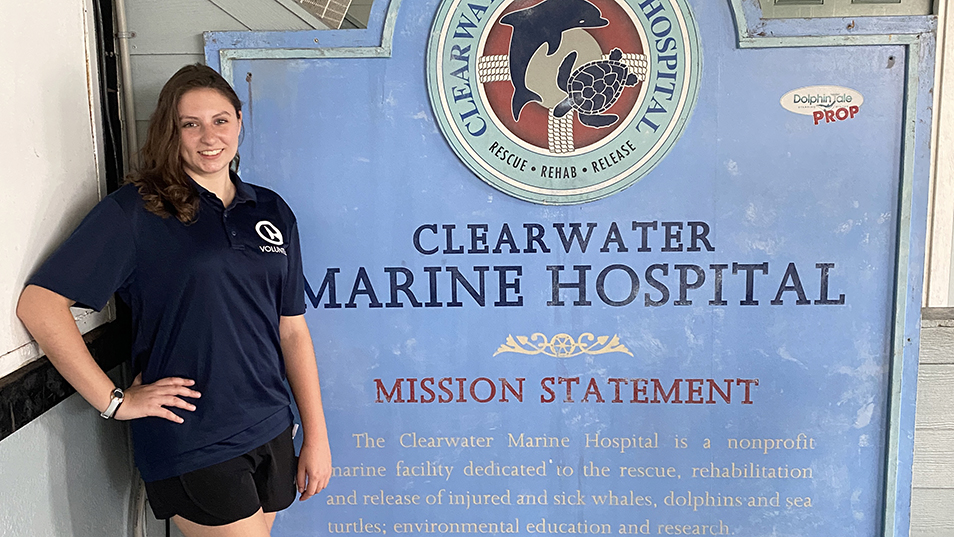UT Junior Assists Clearwater Marine Aquarium With Sea Turtle Rehabilitation