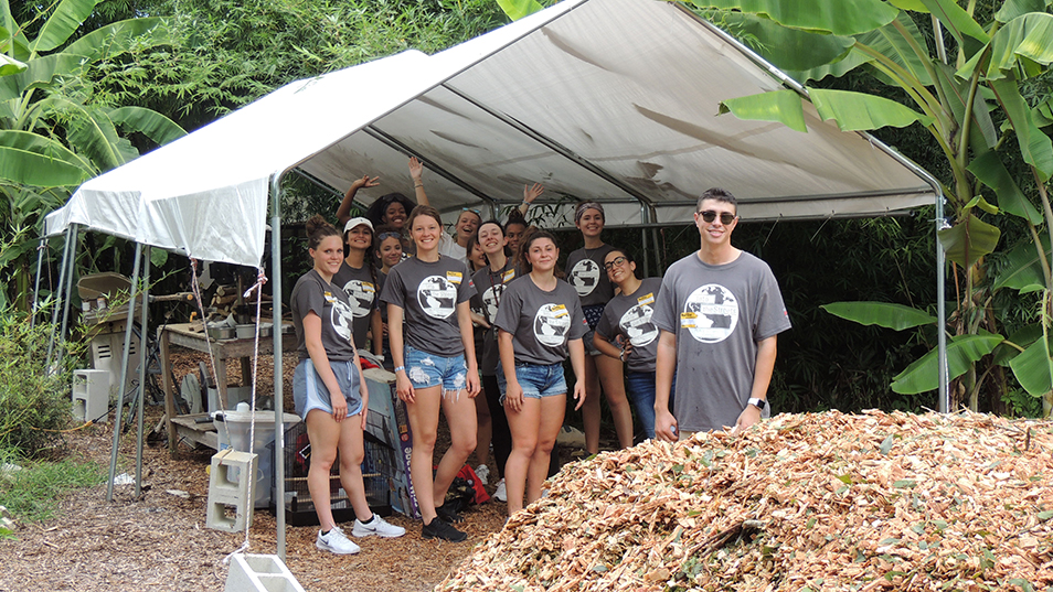 UT Volunteers Go “Into the Streets” 