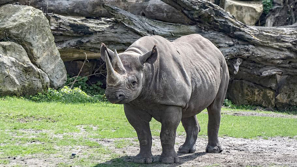 Biology Major Works up Close With Animals at ZooTampa